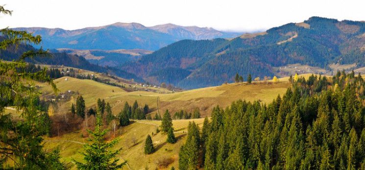 Ілюстрація. Указ набирає чинності з дня публікування.