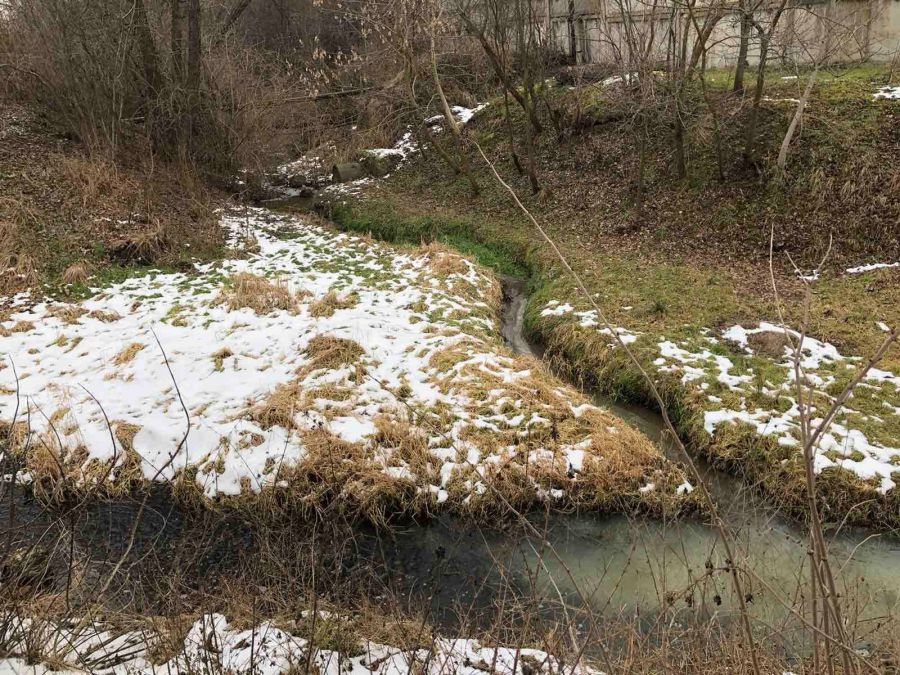Ймовірним джерелом забруднення є потічок, який впадає в Млинівку в районі вул. Зарічної