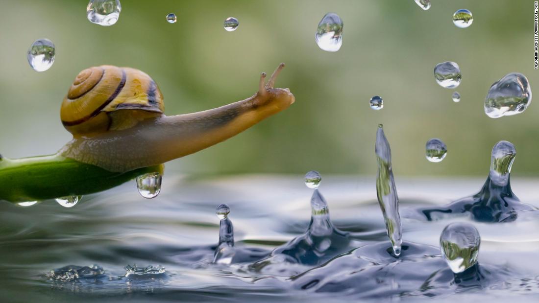 Ілюстрація. Конкурс зібрав найкрасивіші фото світу.