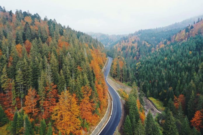 Ілюстрація. Жителі Прикарпаття в одиничних випадках готові фінансово підтримувати природоохоронну діяльність.