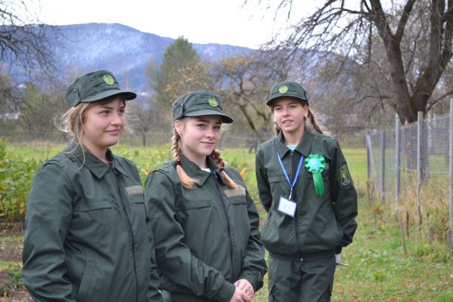 Вихованці гуртка «Шкільне лісництво» Підмихайлівського ліцею живцювали ялівець, самшит, кизильник
