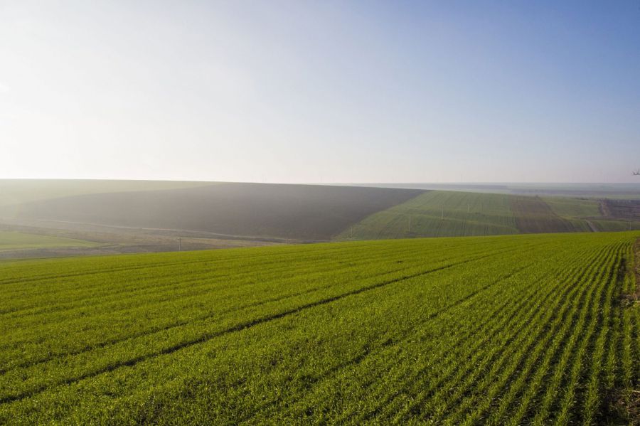Ілюстрація. Підприємство планувало на земельній ділянці встановити сонячну електростанцію.