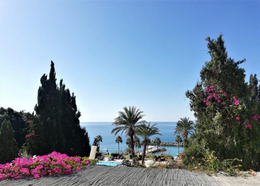 Ілюстрація. Для відвідування країни все ще буде потрібен ПЛР-тест.