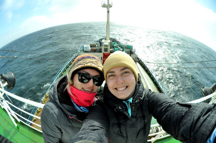 Біологині зареєстрували з обох бортів понад 2700 зустрічей з морськими ссавцями.