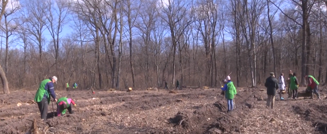  До акції планують долучитися екологічні громадські організації.
