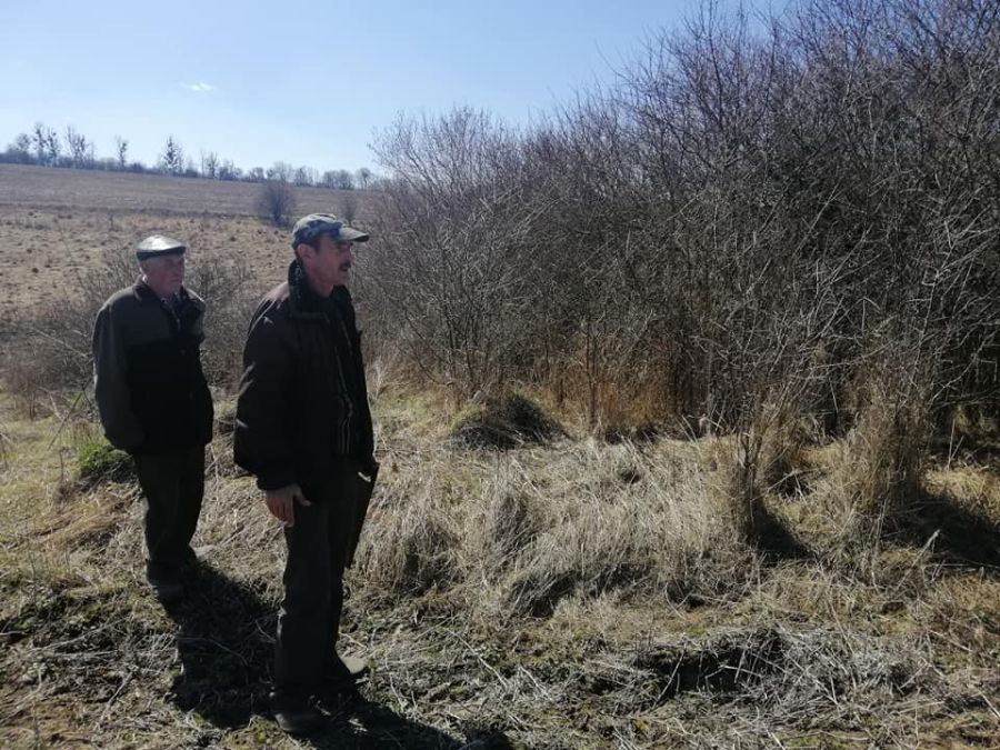 Євреїв, похованих у братській могилі не ідентифікували