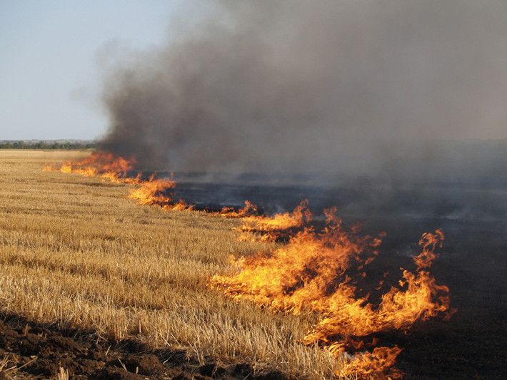Ілюстрація.  Протокол за спалювання рослинності було складено 12 квітня на жителя села Пійло.