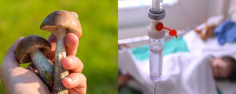 Ілюстрація. Не варто годувати грибами чи стравами з них дітей до 12-ти років