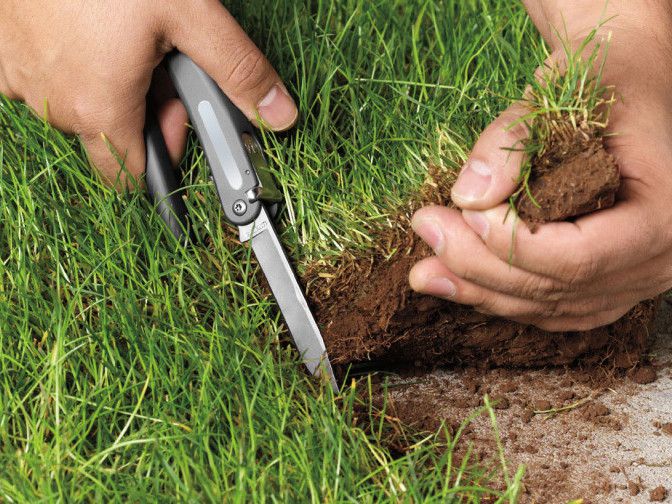 Ілюстрація. Земельна ділянка була надана в оренду на 49 років.