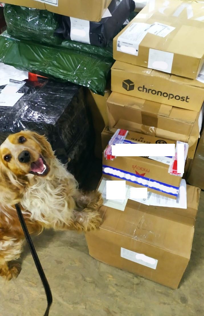 Зброю та наркотики виявили службові собаки Галицької митниці