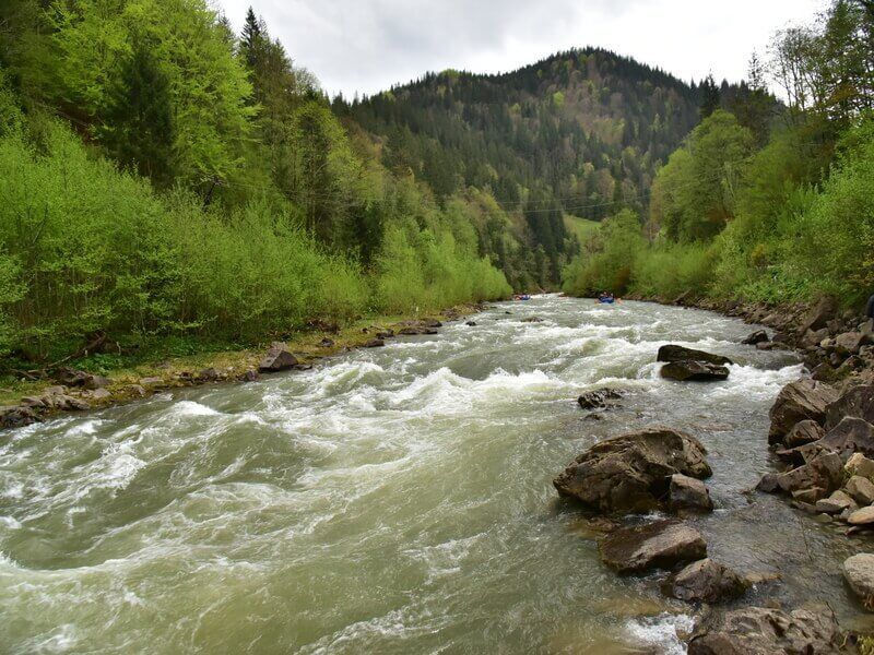 Ілюстроване фото. Хлопчик разом з друзями ввечері 12 червня поїхав на прогулянку на велосипеді і впав у Черемош