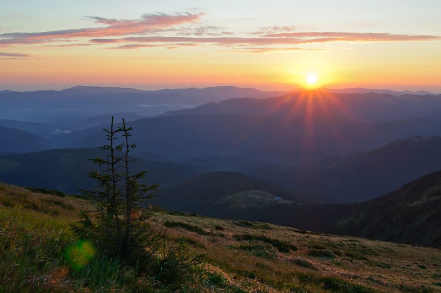 Ілюстрація. До пошуку залучено кінологів.