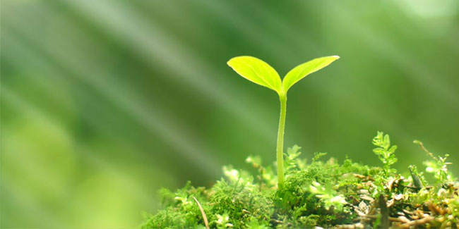 Ілюстрація. Альтернатива реконструкції передбачає спорудження додаткових свердловин.