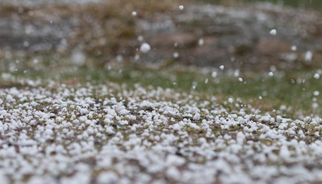 Ілюстрація. Зранку наступної доби синоптики прогнозують туман.