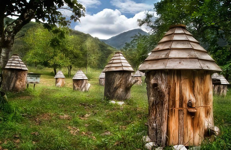 Ілюстрація. Медові маршрути простягнуться завдовжки 80 кілометрів