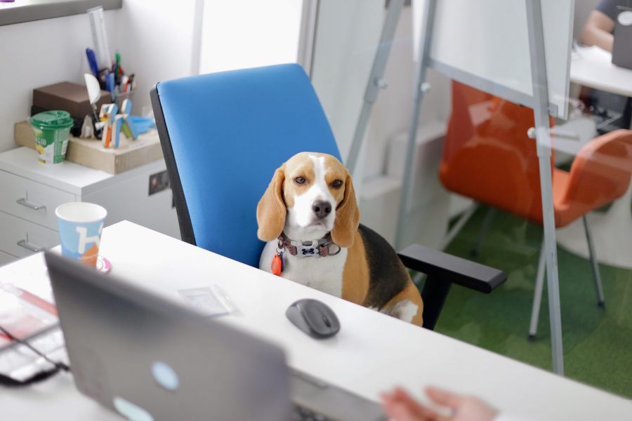 Ілюстрація. Акція пройде і в інших країнах світу.