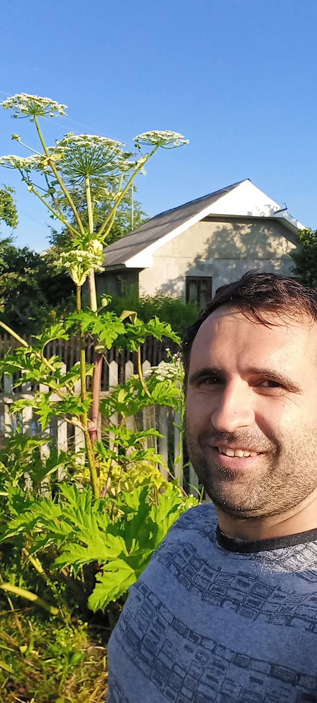 Василь Тимчишин бореться з борщівником Сосновського