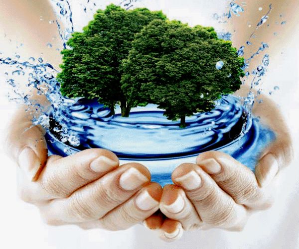 Ілюстрація. У лютому було проведено два тендери на очищування двох річок