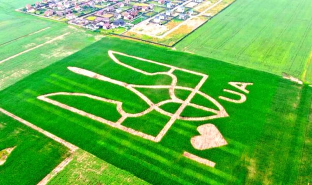 Поле, на якому було створено Герб України, знаходиться в Київській області.