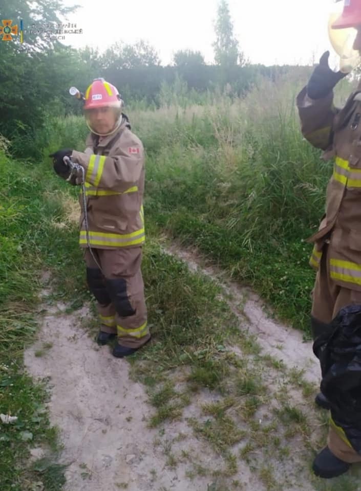Рятувальники закликають жителів краю, виявивши змію, бути обережним