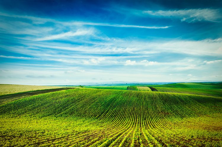 Ілюстрація. Ринок землі відкрився 1 липня.
