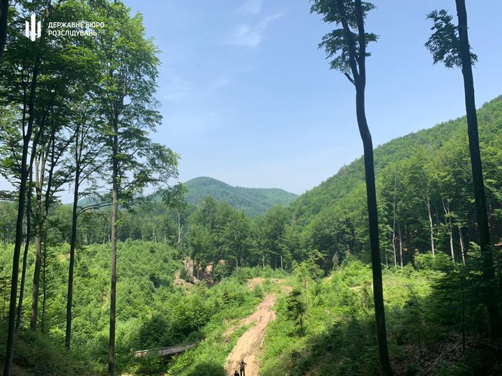 Ілюстрація. Затримані можуть отримати п'ять років позбавлення волі.