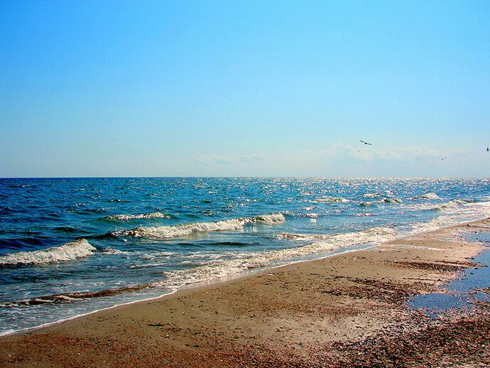 49 дітей з Калущини відпочилина Чорному морі