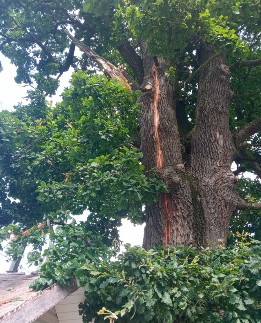 На щастя постраждалих немає.