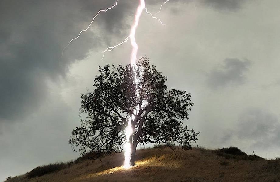 Ілюстрація. Разом з деревом загорілось і сіно.