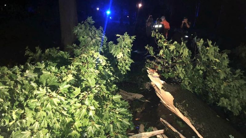 Разом з курсантом на лавці сиділа його подруга.