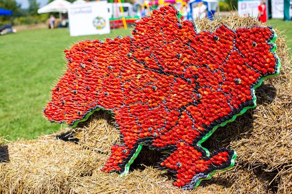 Рекорд встановили під час ягідного фестивалю Zahid Berry Fest у селі Чукалівка