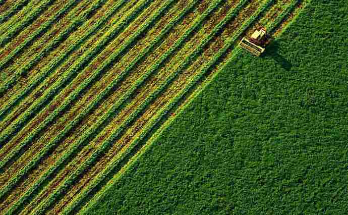 Ілюстрація. Прикарпатці не поспішають продавати землю.