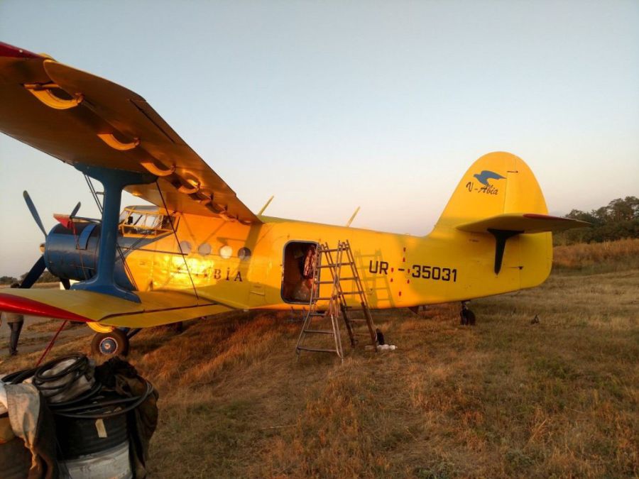Приманка з вакциною, яка розповсюджується авіатранспортом, є безпечною для людей і тварин