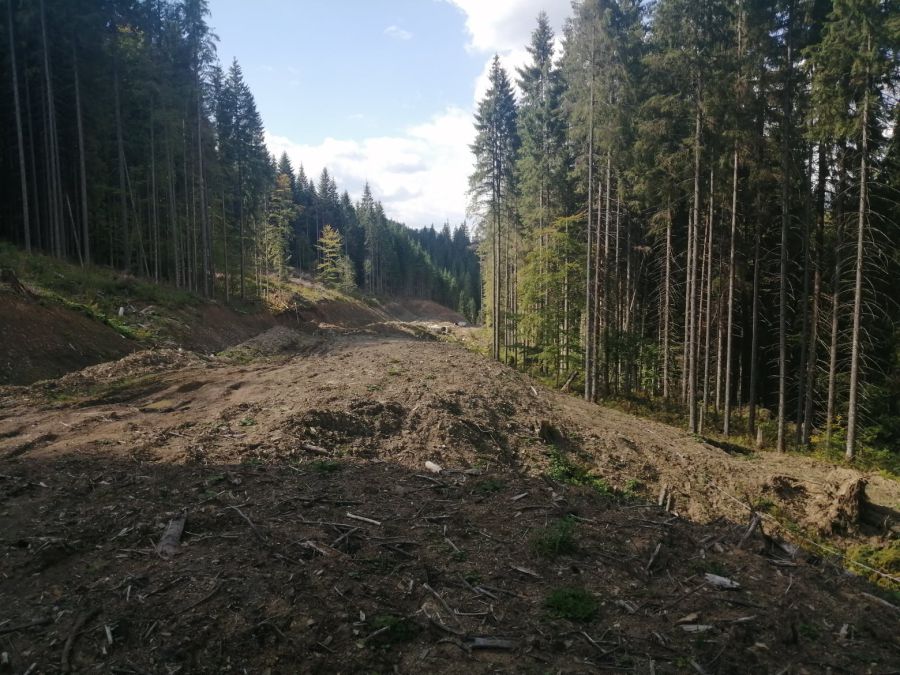 Підприємство має відшкодувати завдані збитки.