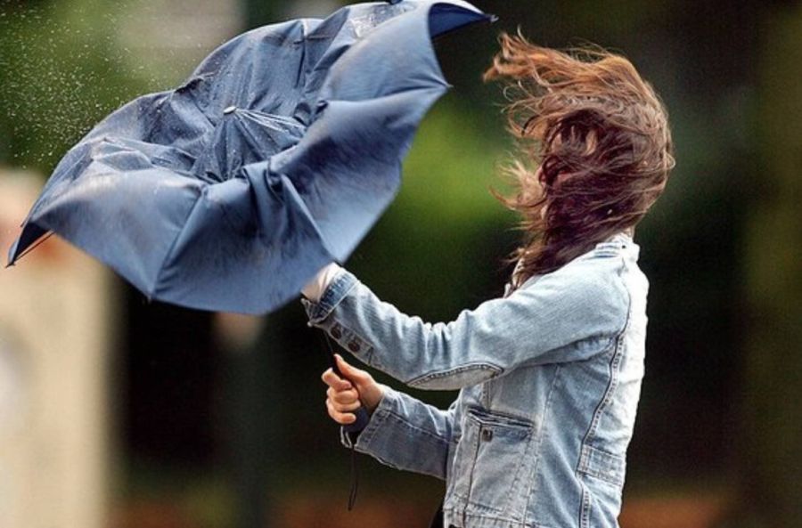 Ілюстрація. Внаслідок сильного вітру гілки дерев пошкоджують електрокабелі