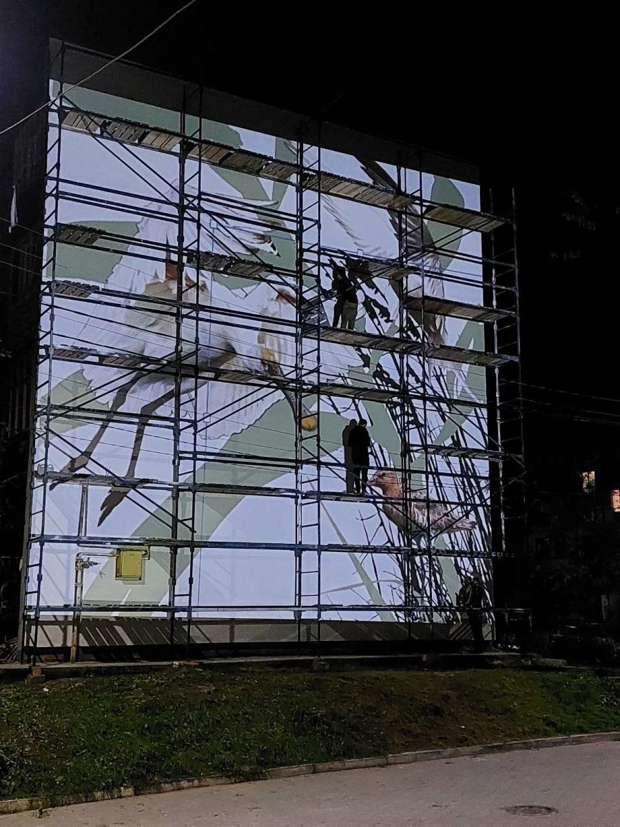 На муралах будуть зображені рідкісні види рослин і тварин