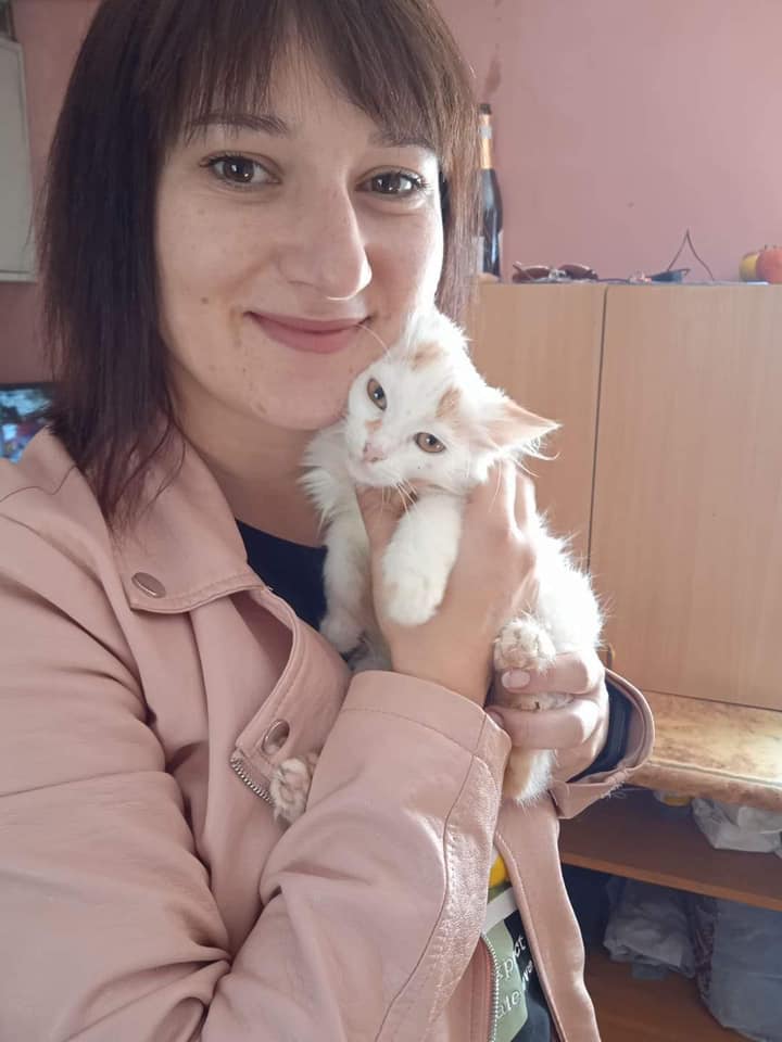 "Дім Сірка" зміг прилаштувати і котиків, які б не вижили в притулку