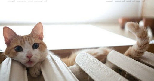 Ілюстроване фото. Можливість укладати угоди на постачання газу буде не раніше 11 жовтня