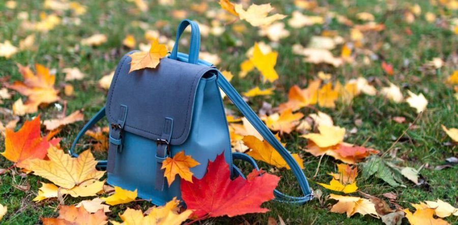 Ілюстроване фото. Передчасні канікули можуть оголосити і в інших громадах Прикарпаття