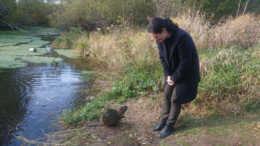 Водойма може стати привабливим місцем для туристів.