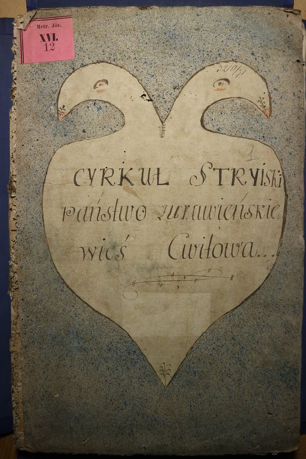 У процесі перепису земель отримані дані записувались в метрикальну книгу