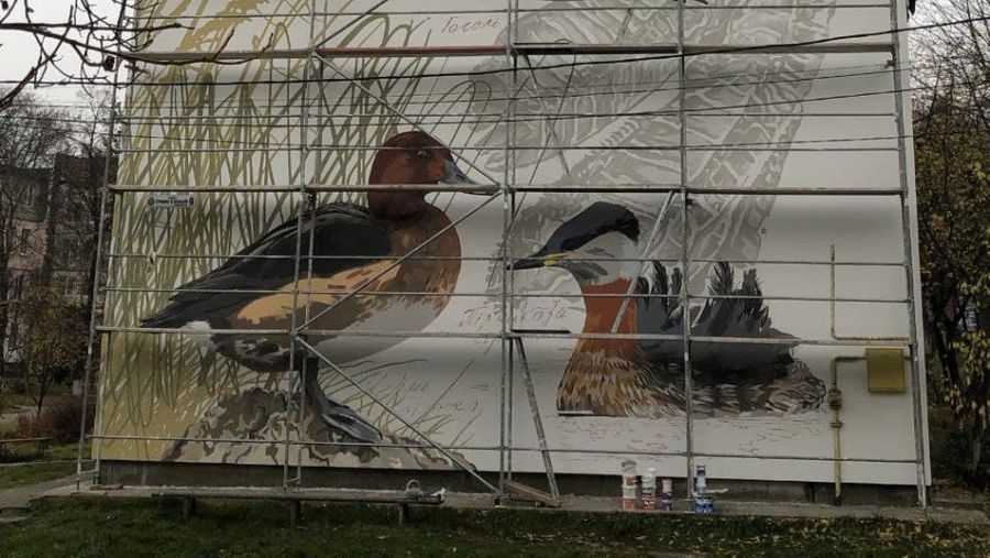 Поруч з муралами буде розміщені QR-коди з інформацією про птахів.