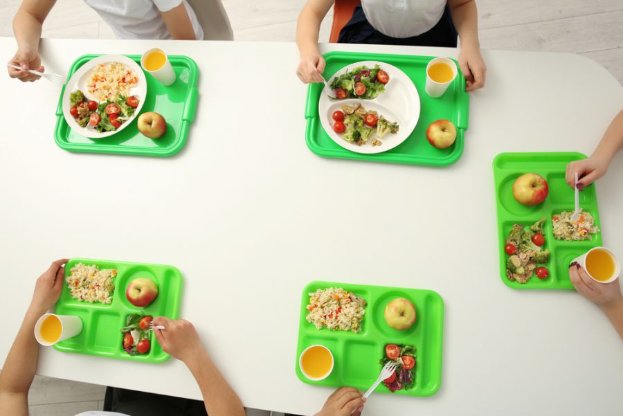 Ілюстроване фото. У Департаменті освіти та науки задоволені роботою програми.