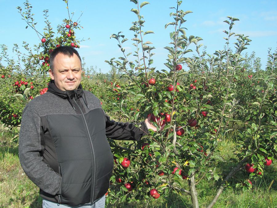 На фермі у Романа працює троє людей.