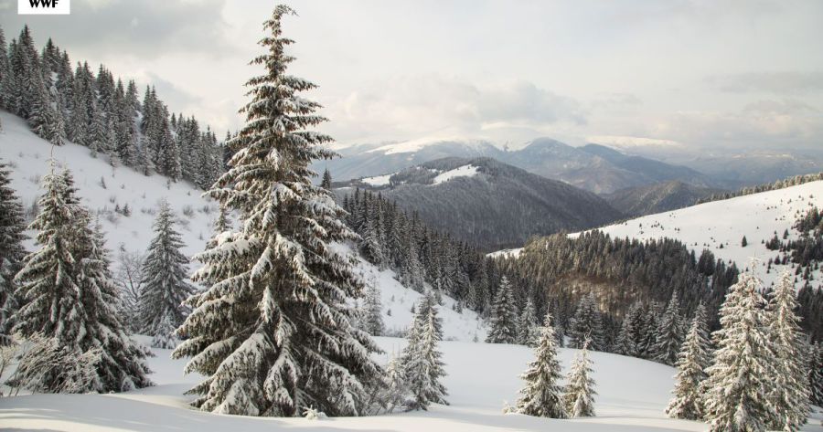Ілюстроване фото. Маршрути були доступні для туристів лише влітку.