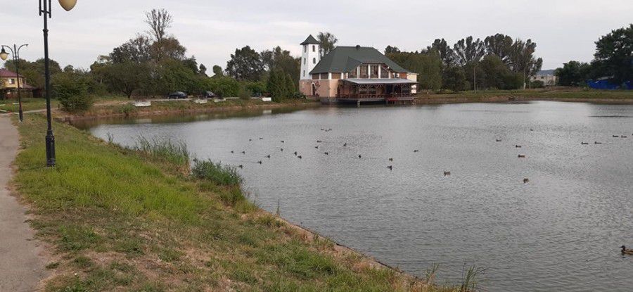 В озеро запустили 60 кілограм риби.