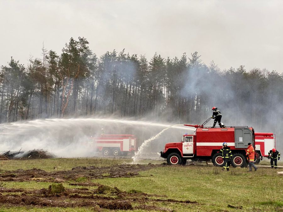 Ілюстроване фото кошти планують розподілити за трьома напрямками.