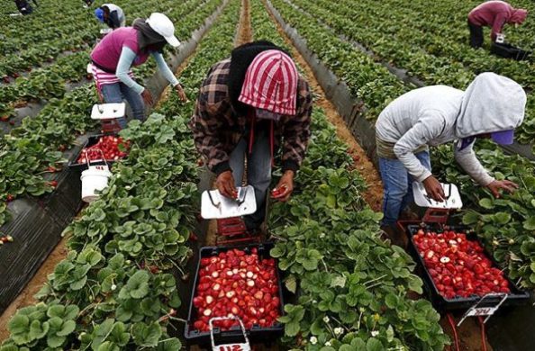 Ілюстроване фото. Майже половина українців хоче отримати роботу  за спеціальністю.