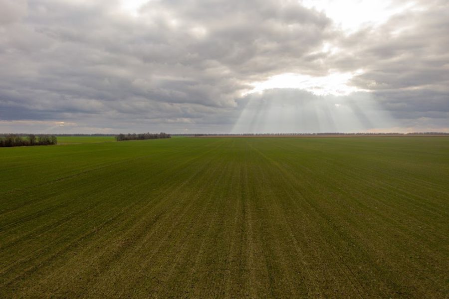 Ілюстроване фото. Оголошення аукціону відбудеться на торговельній площадці.