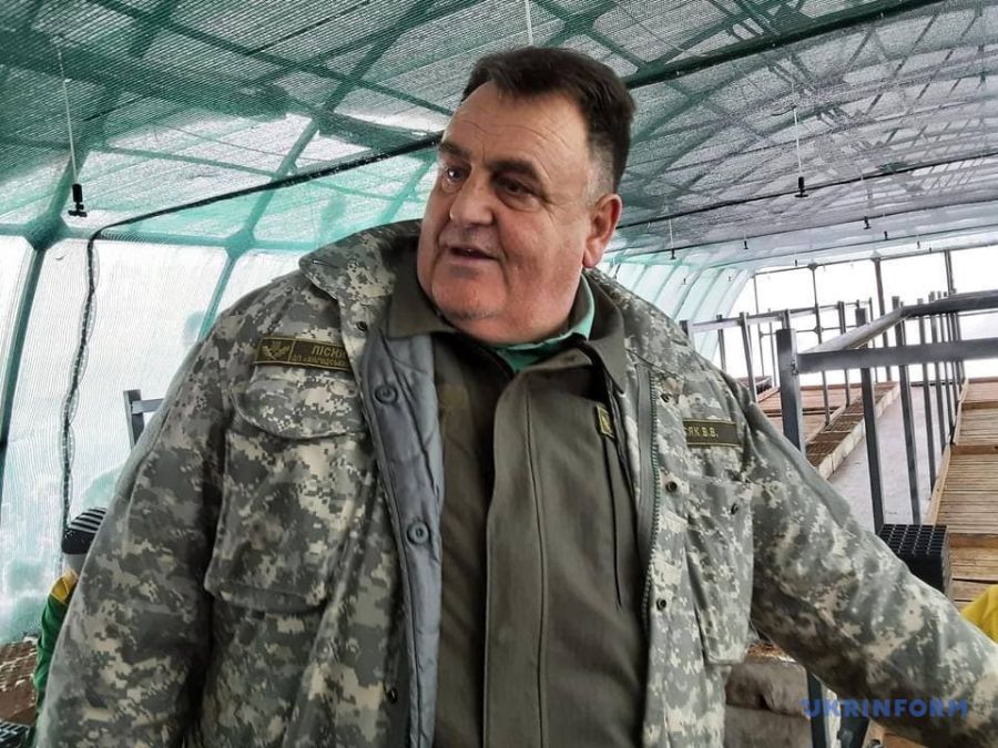 Висаджені ялинки виростають за 5-6 років до одного метра